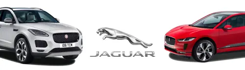 jaguar
