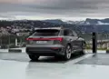 1700127-Audi-Q8_e-tron_quattro-12.jpg