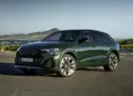 1697889-Audi-Q8-2024-04.jpg
