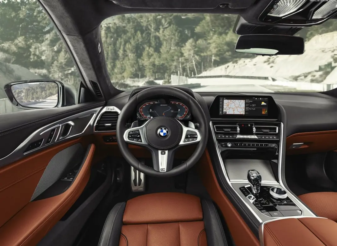 1609313-BMW-8-Series_Coupe-2019-05.jpg