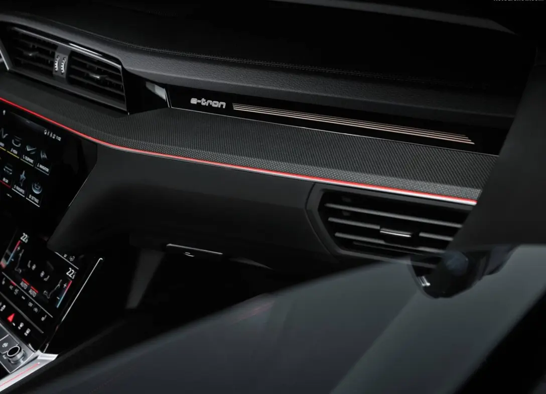 1700123-Audi-Q8_e-tron_quattro-08.jpg