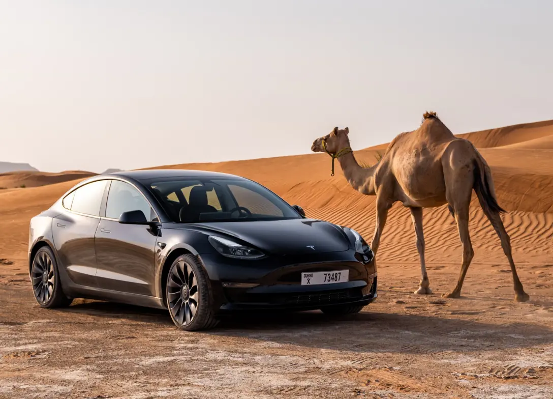 1692064-Tesla-Model_3-2024-01.jpg