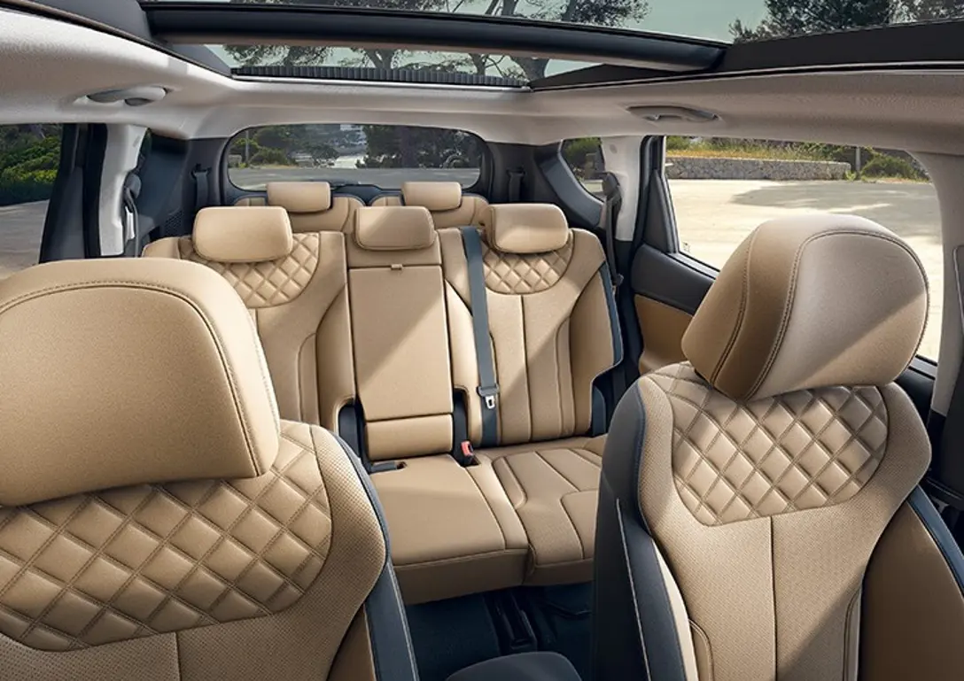1651841-Hyundai-Santa_Fe-2022-09.jpg