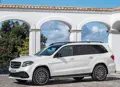 1669607-Mercedes-Benz-GLS-2017-04.jpg