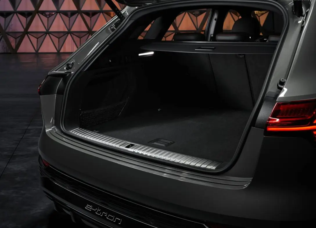 1700125-Audi-Q8_e-tron_quattro-10.jpg