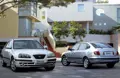 1598792-Hyundai-Elantra-2004-1600-09.jpg