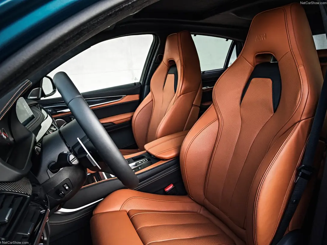 1588812-BMW-X6_M 7.jpg