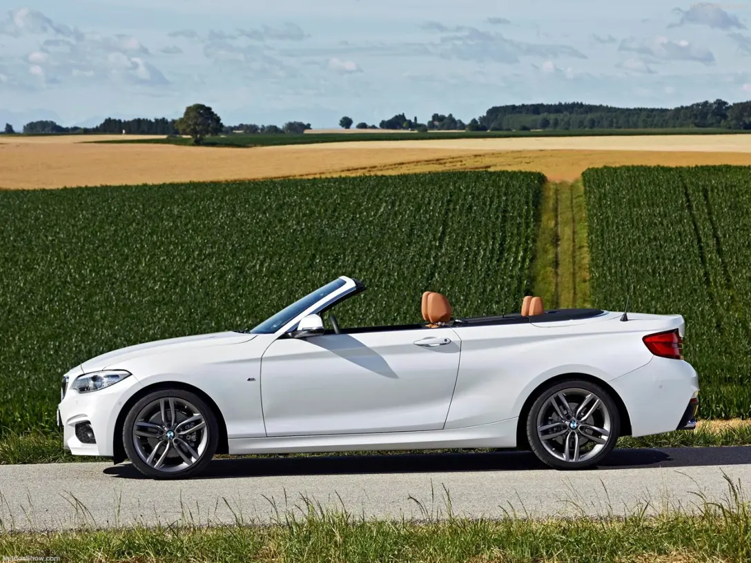 1663431-BMW-2-Series_Convertible-2017 - 02.jpg