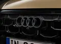 1697896-Audi-Q8-2024-11.jpg