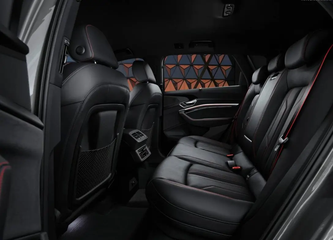 1700124-Audi-Q8_e-tron_quattro-09.jpg